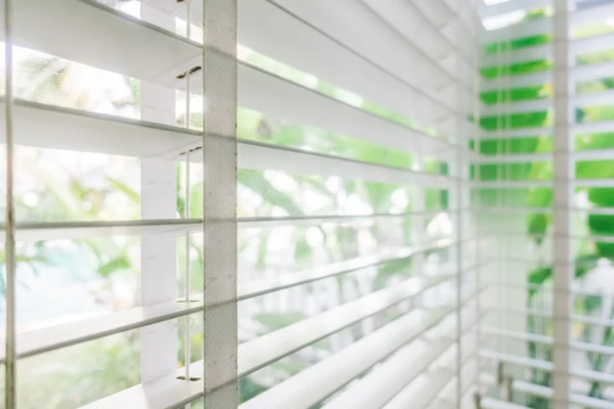 Window Blinds