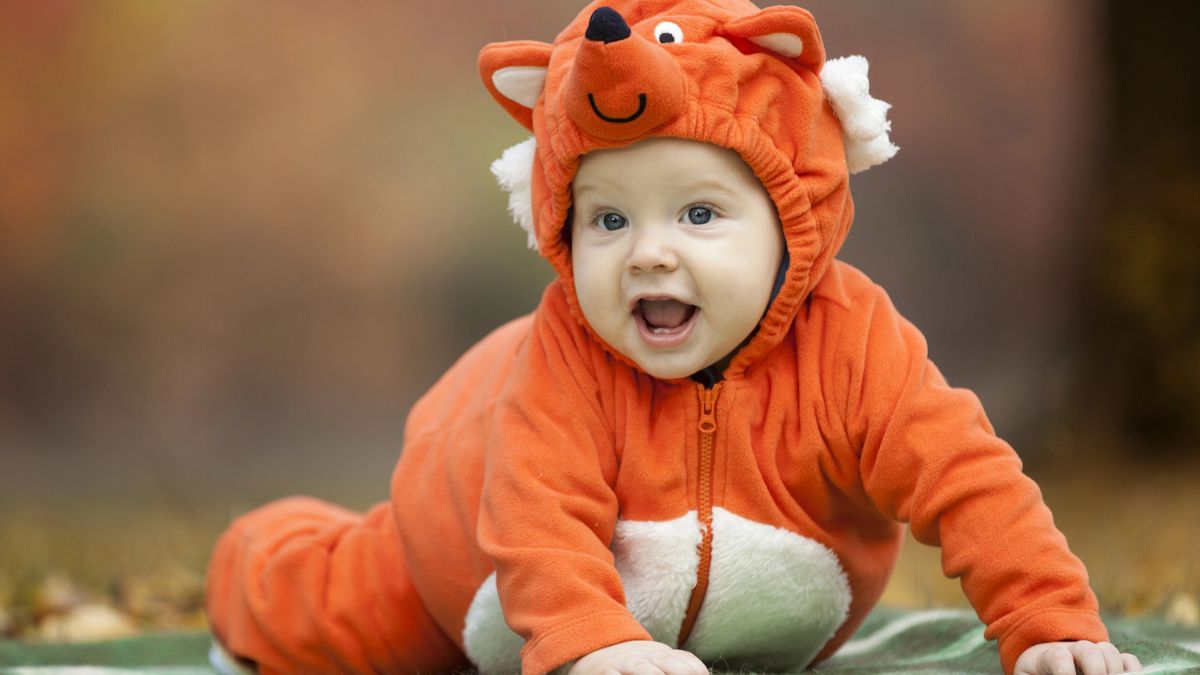 baby fox costume
