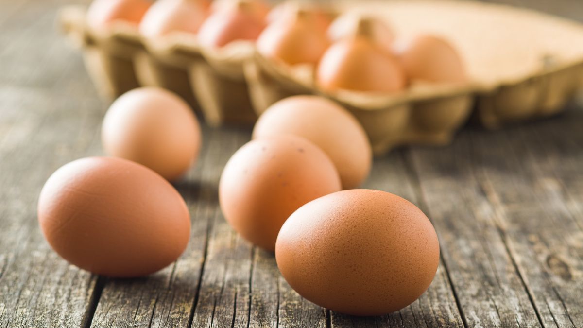 eggs