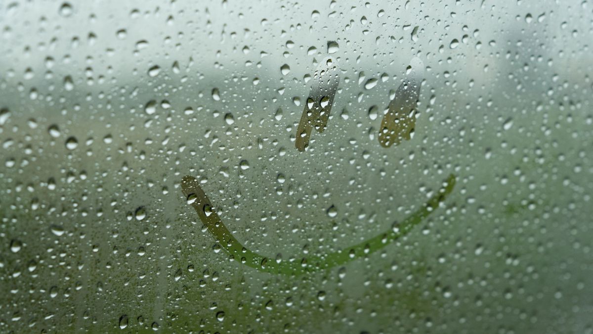 foggy car window