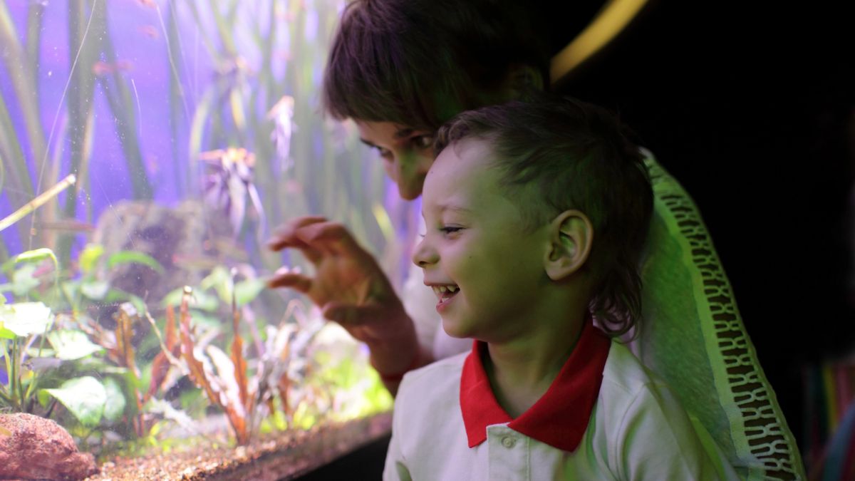 kids looking at tank