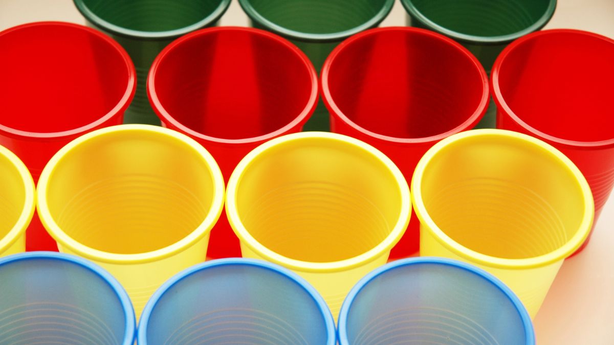 Disposable Drinkware