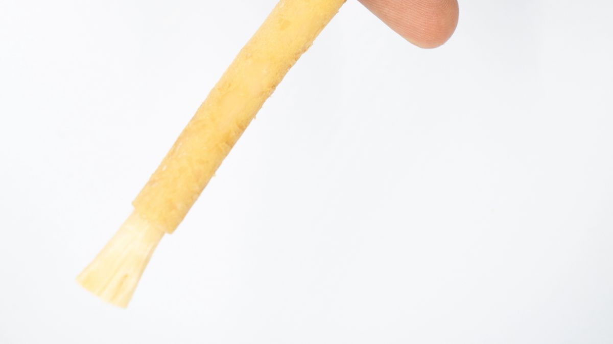 twig toothbrush