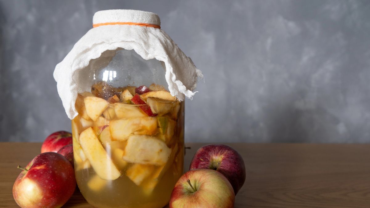Apple Cider Vinegar Jar Trap