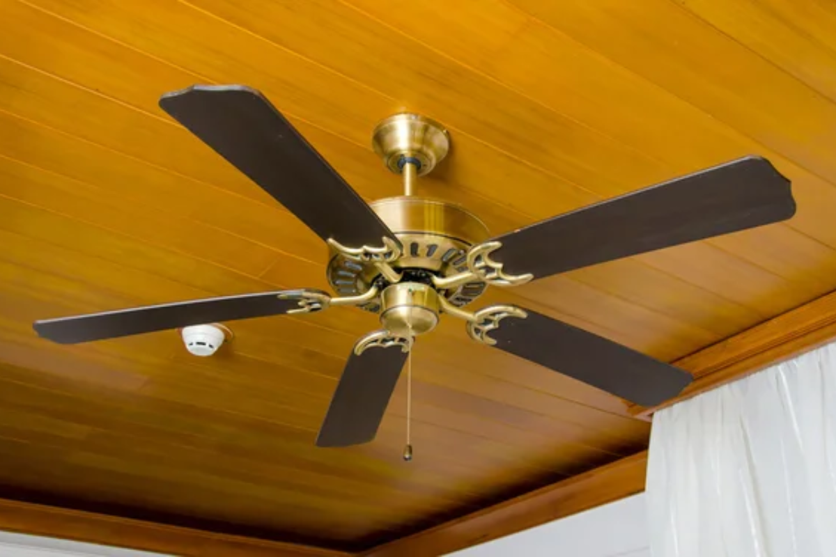 Ceiling Fan