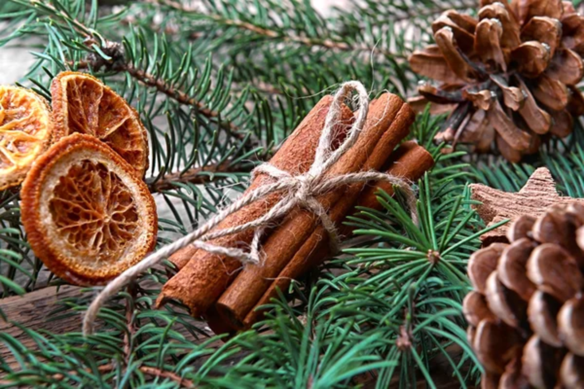 Christmas Cinnamon Tree