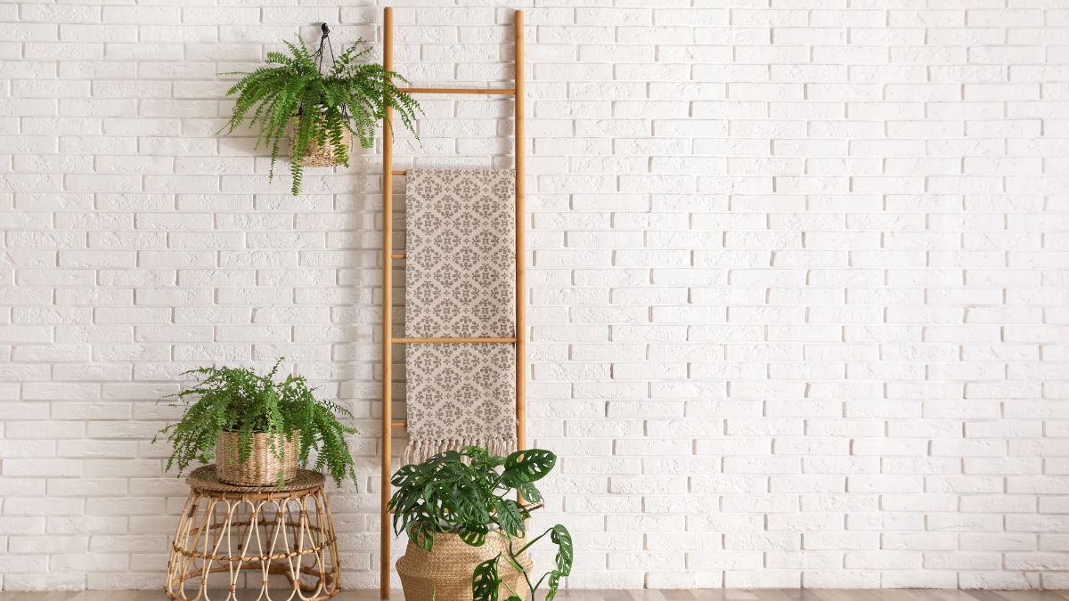 Decorative Ladder