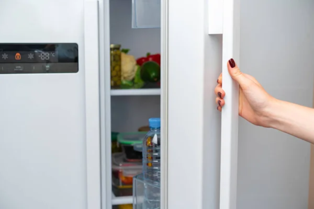 Fridge Door Handle