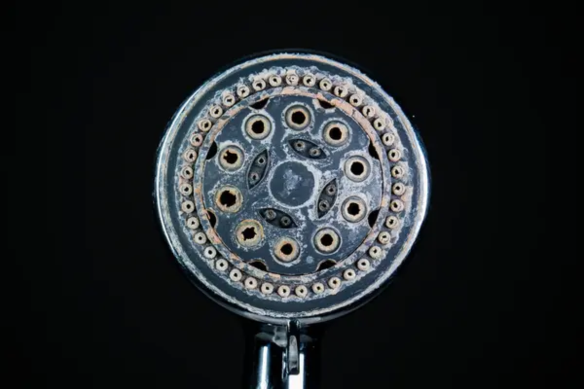 Shower Head
