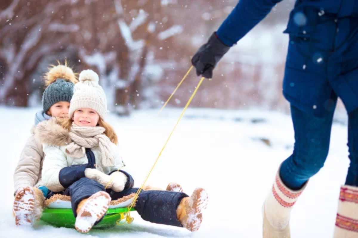 Snow Sledding Winter
