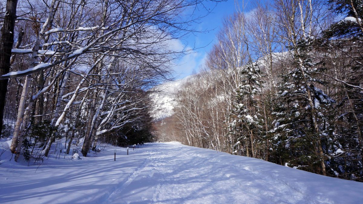 Stowe, Vermont