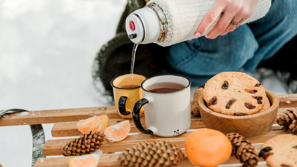 Winter Picnic