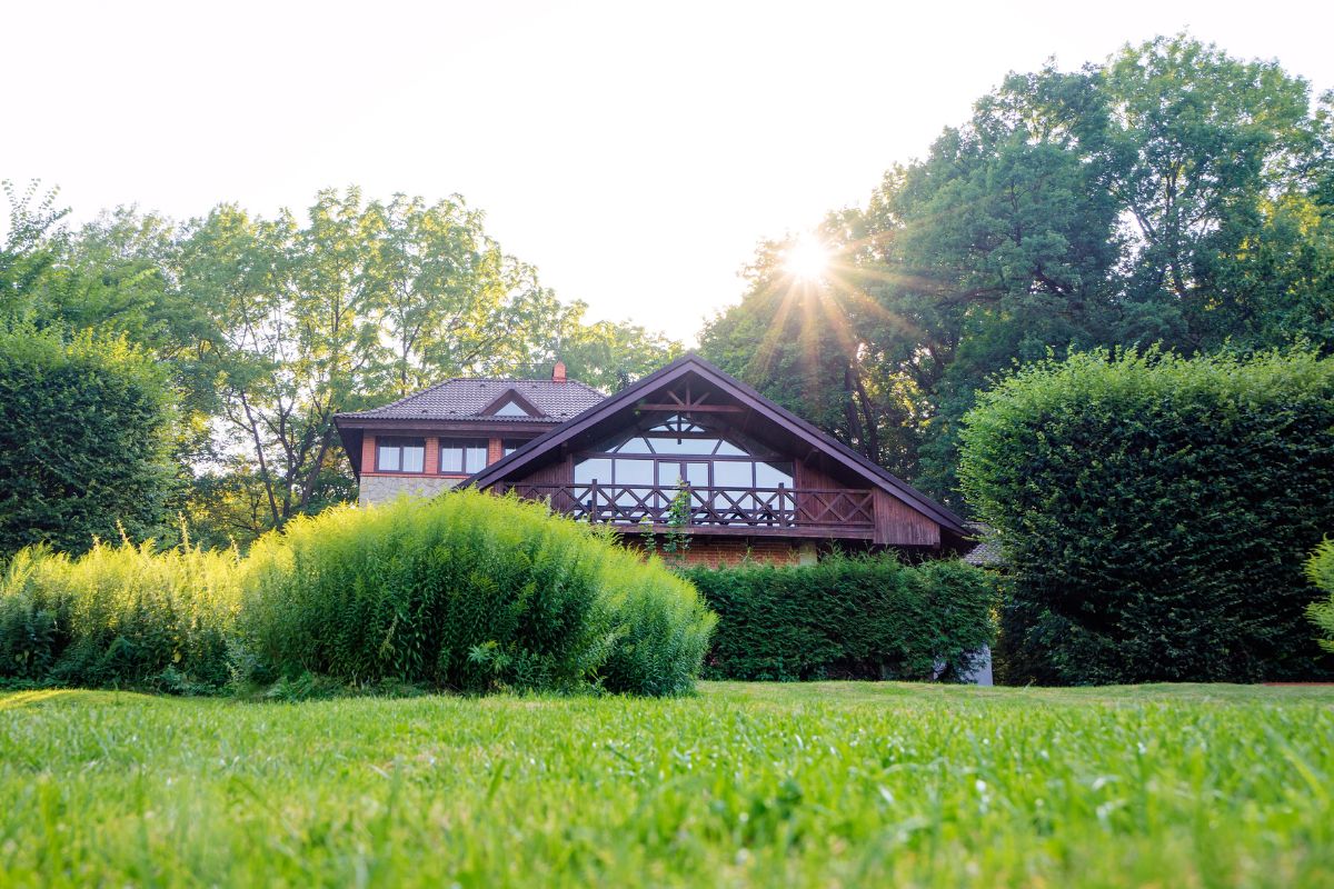 beautiful house surrounded by greenery