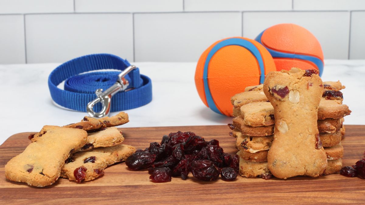 dog treats