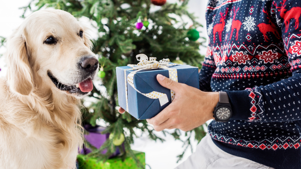man and dog with gift