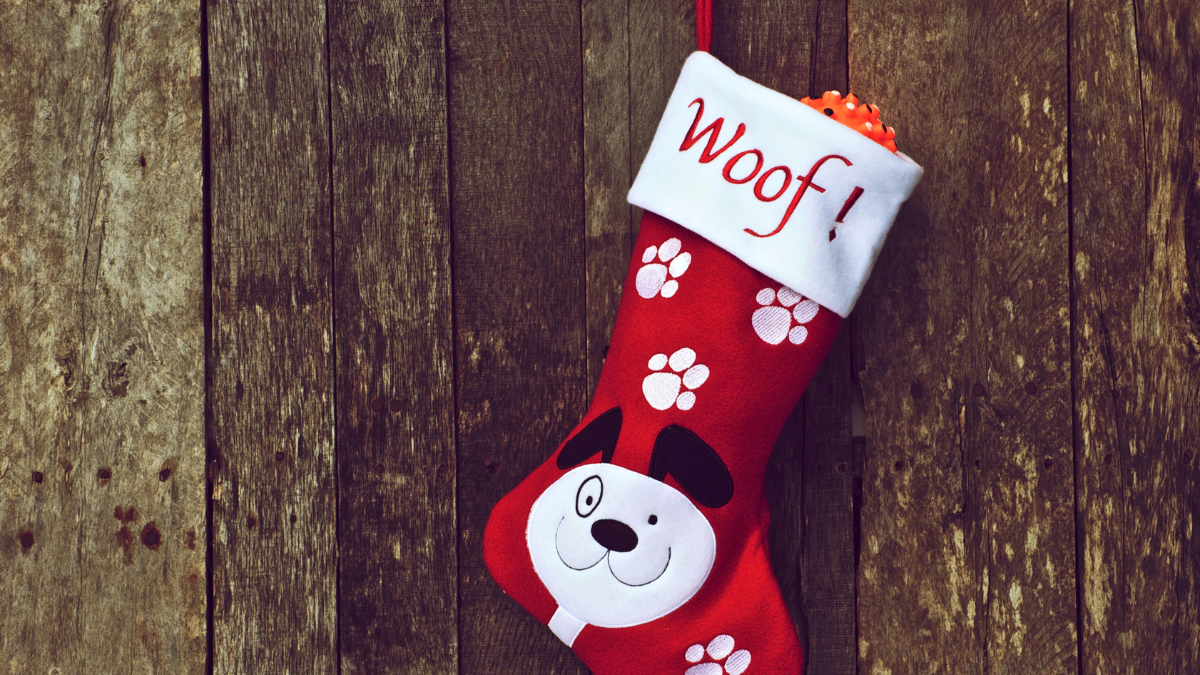 pet stocking