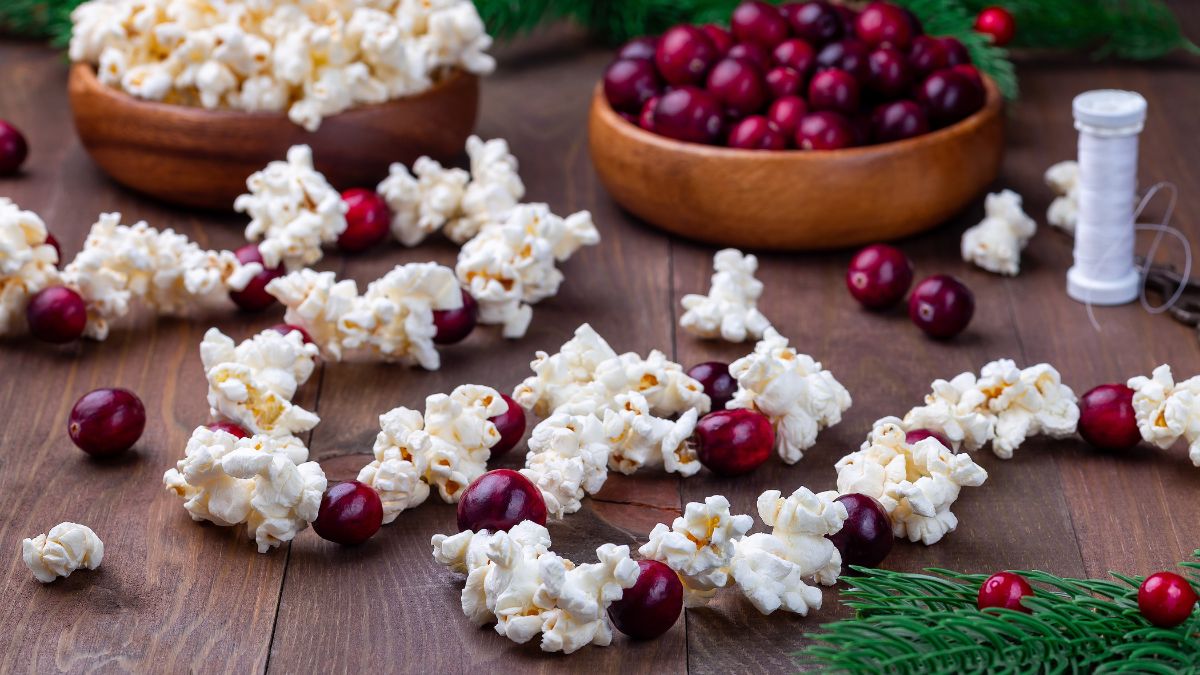 popcorn cranberry string
