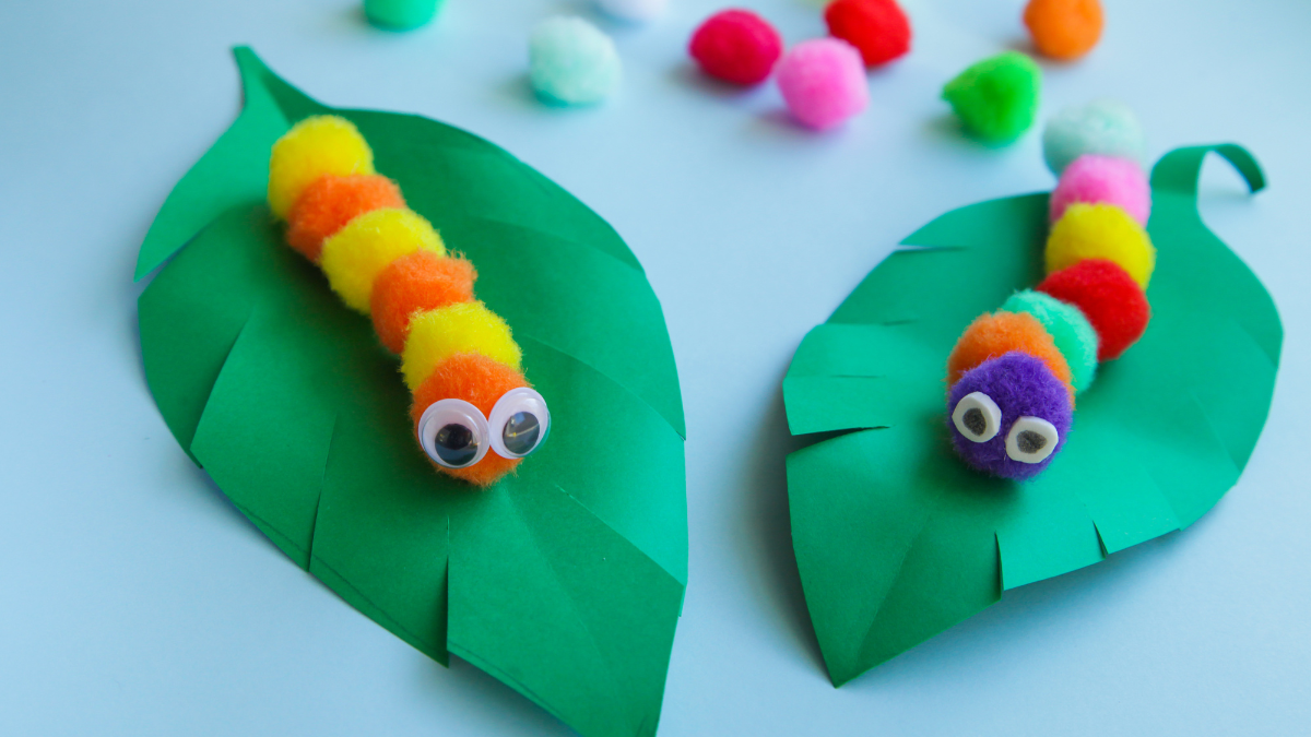 puff ball caterpillars