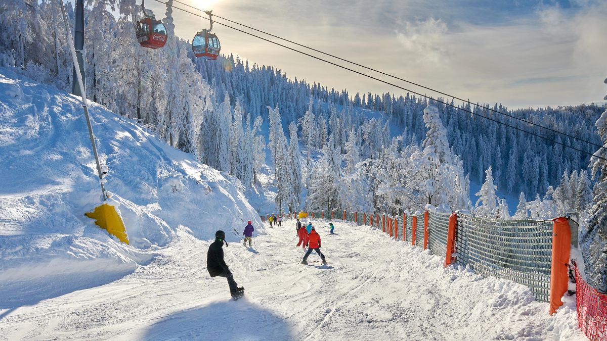 skiers on slope