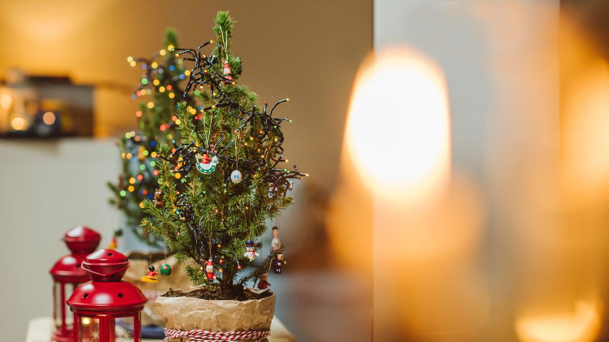 tiny christmas tree