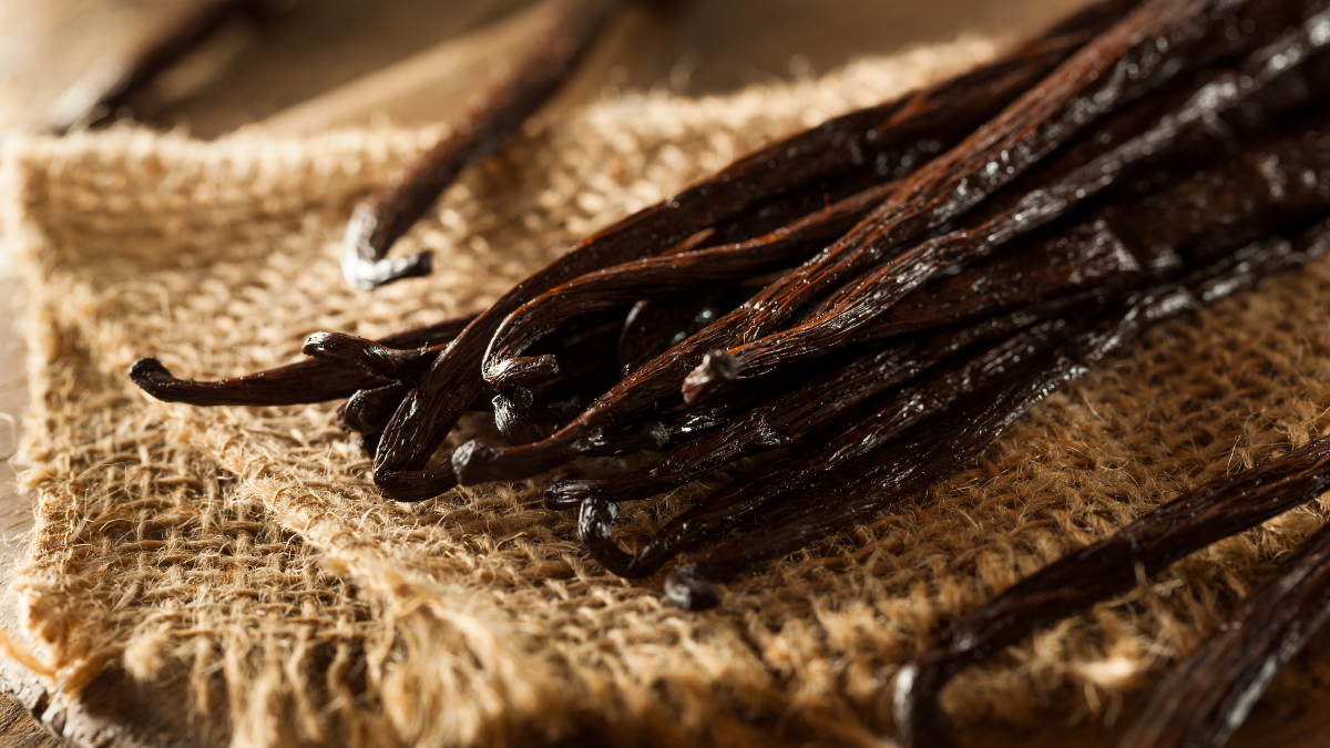 vanilla bean