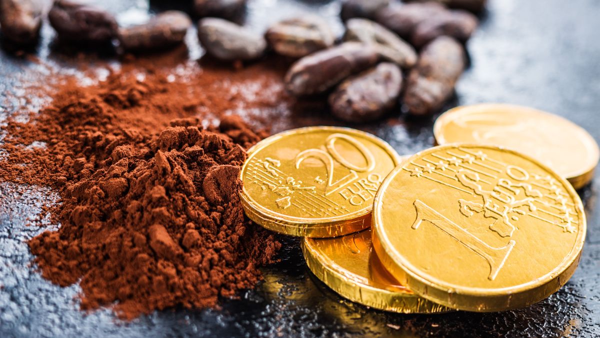 Chocolate Coins