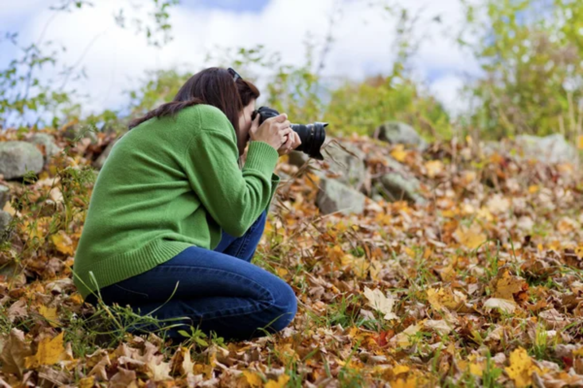Photographer