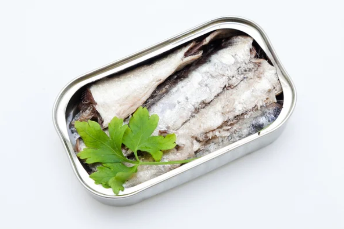 Sardines