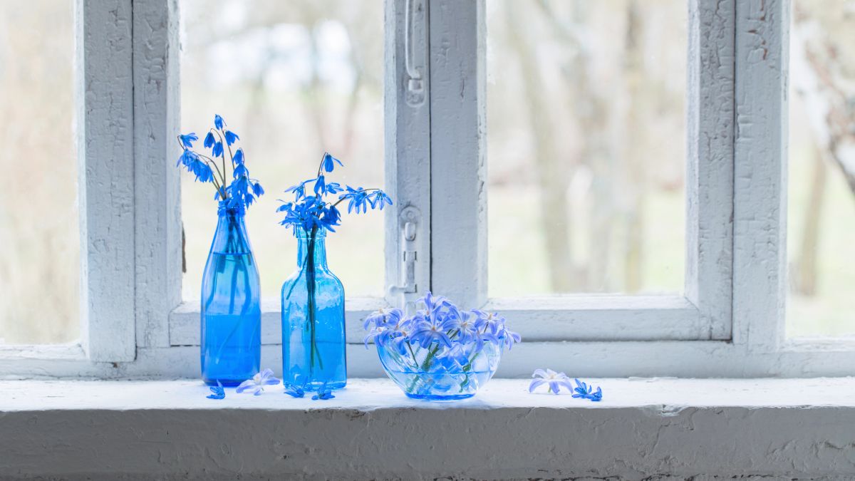 Unique Glass Jar