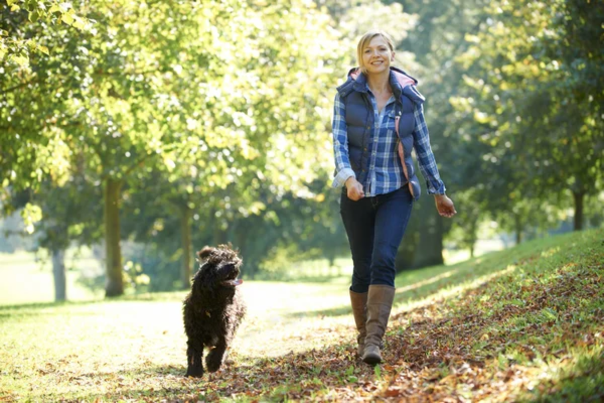 Walking Dog