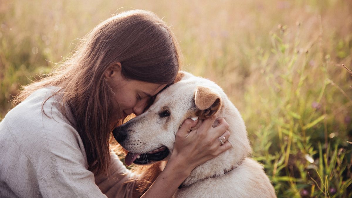 girl and dog face to face