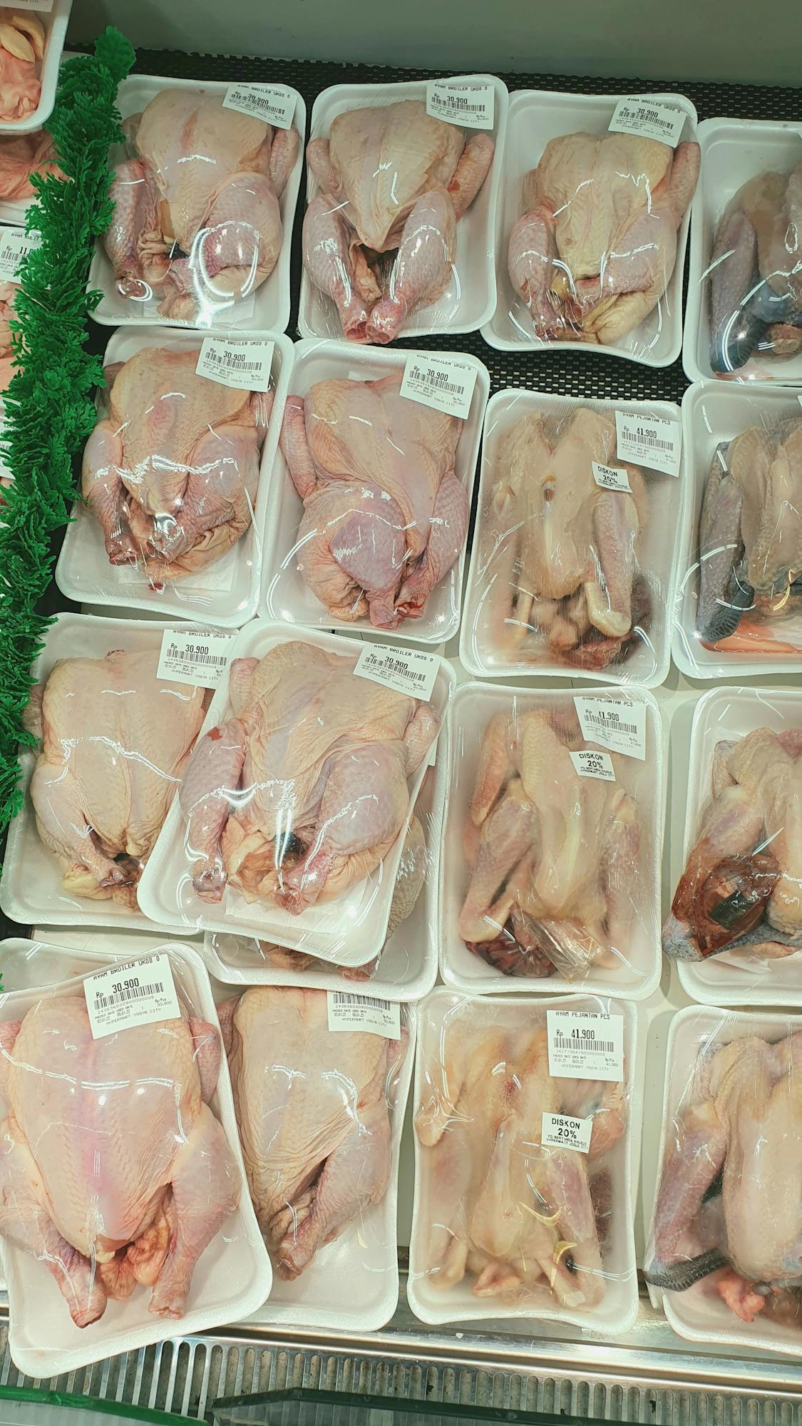 Plastic-wrapped raw chickens neatly arranged on supermarket shelves, ready for purchase.