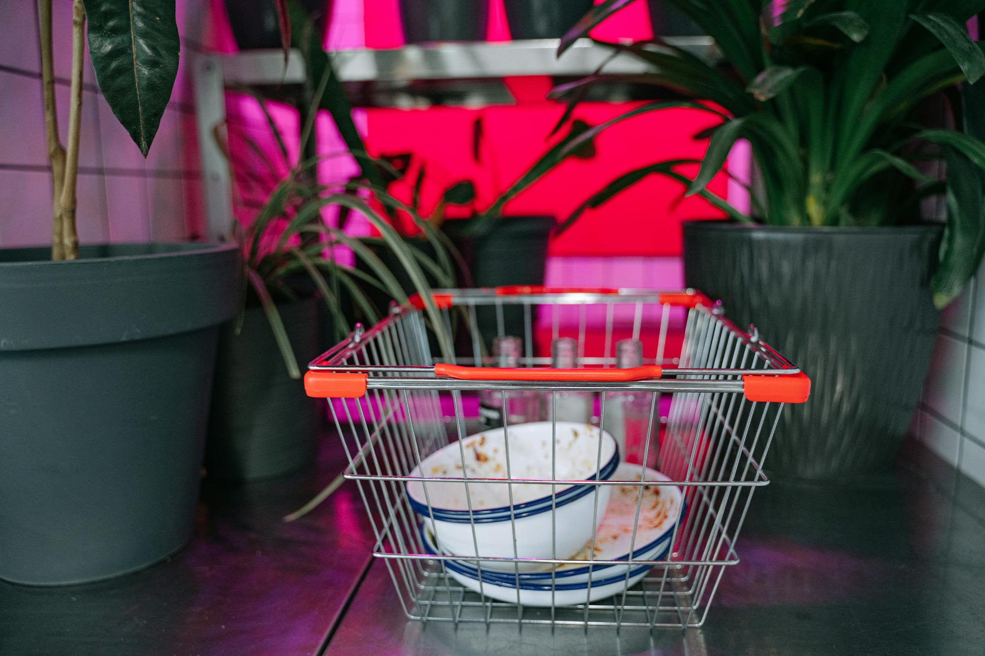 Wire basket with dirty dishes among potted plants in vibrant setting.