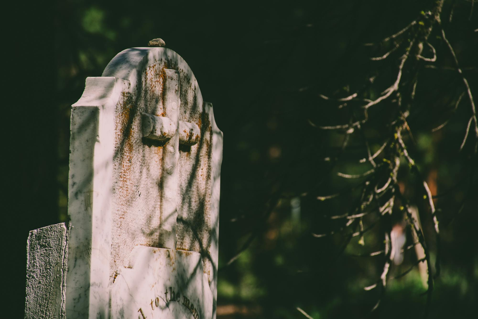Close-up of a weathered tombstone with a cross in an overgrown cemetery, casting shadows.
