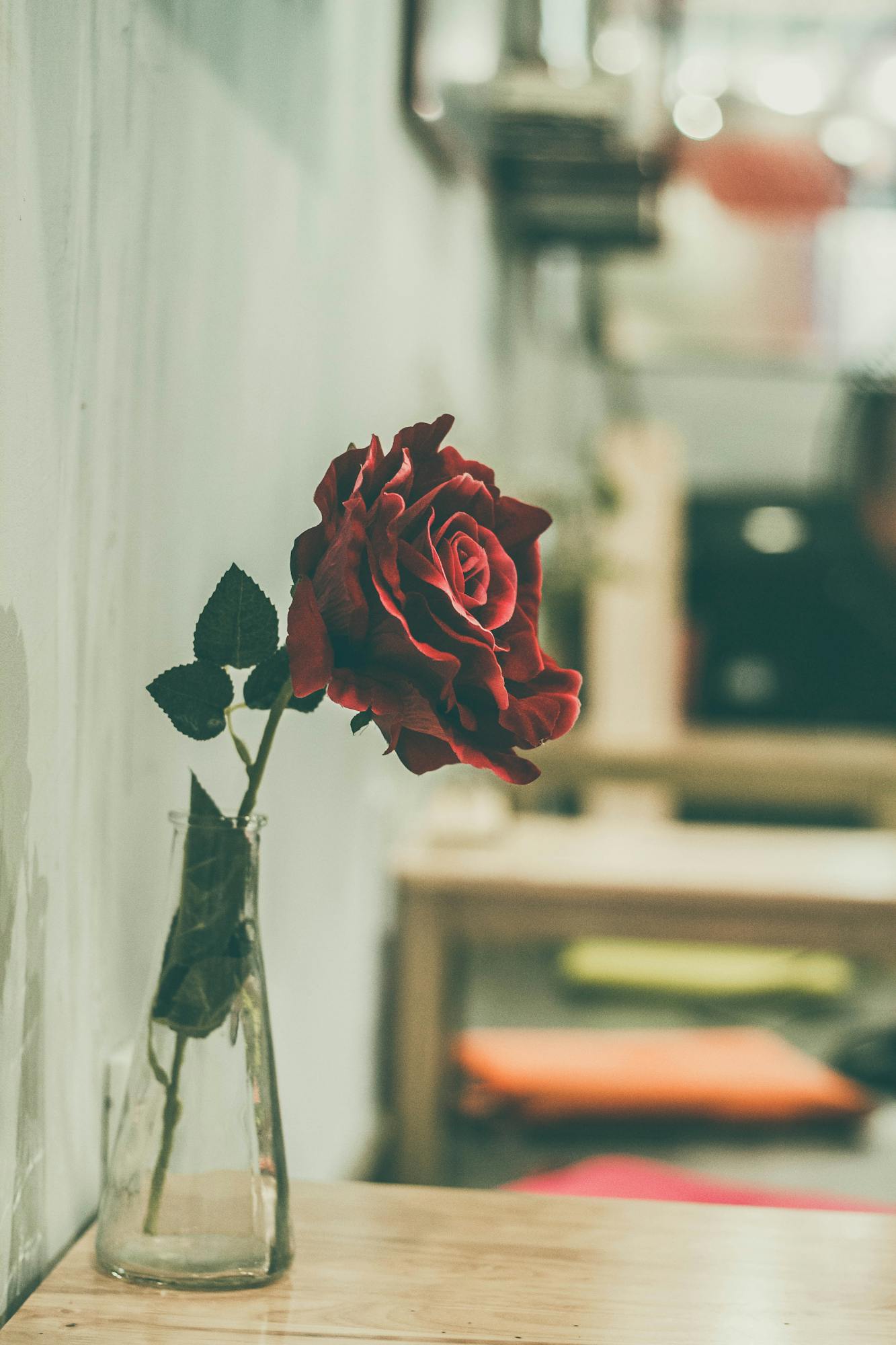 A close-up of a single red rose in a glass vase, capturing timeless beauty and romance indoors.