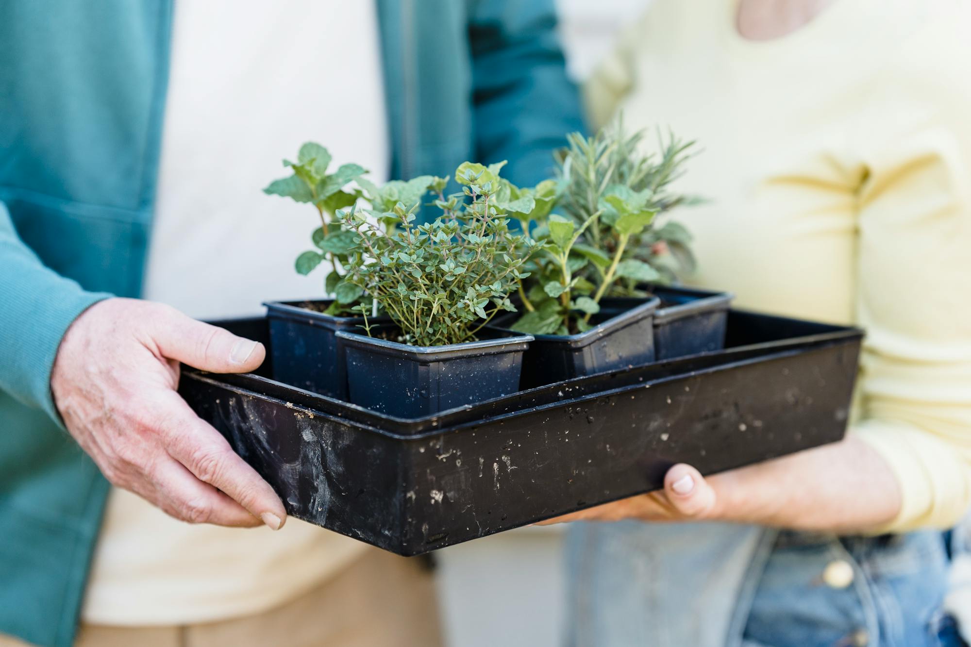herb garden marker
