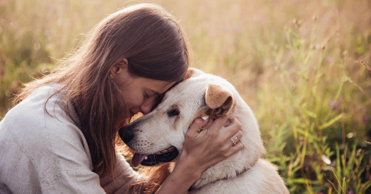 13 Dog Breeds That You May Want To Avoid as A New Dog Owner