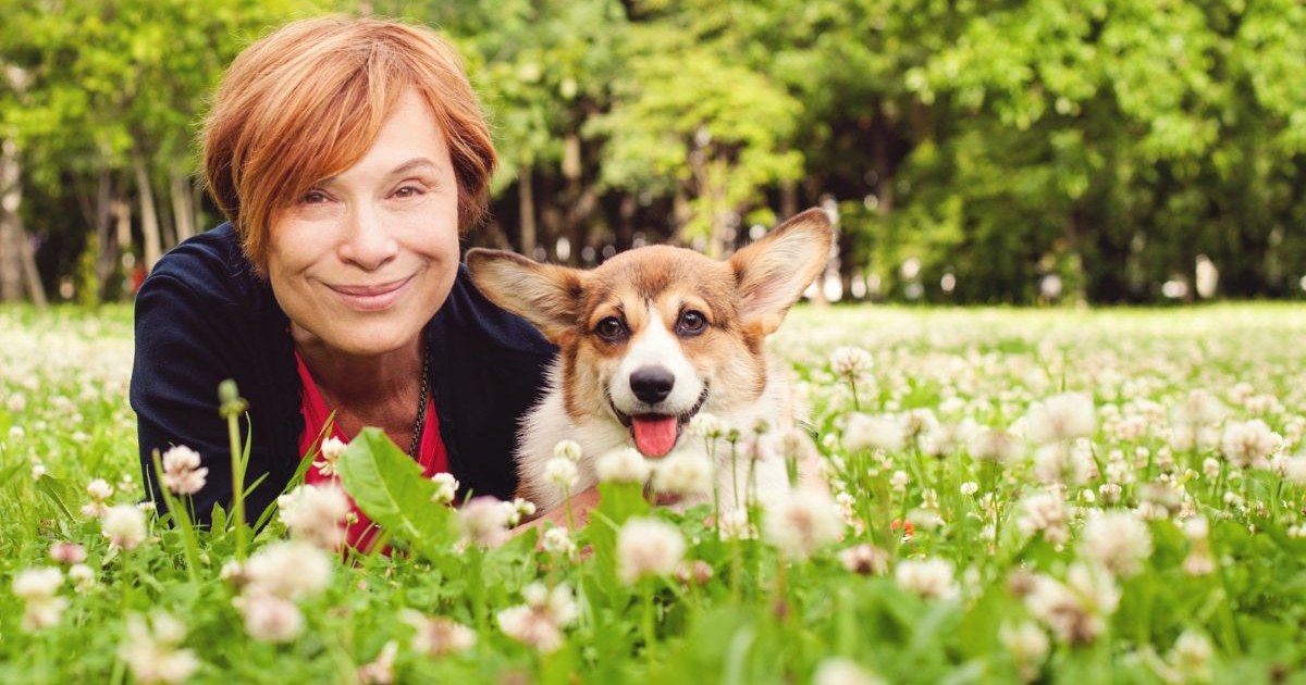 15 Dog Breeds That Make Ideal Companions for People Later In Life