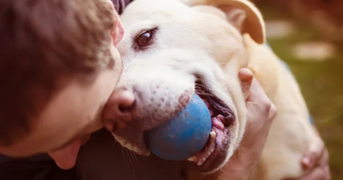 15 Healthiest Dog Breeds That Keep Veterinary Expenses Low