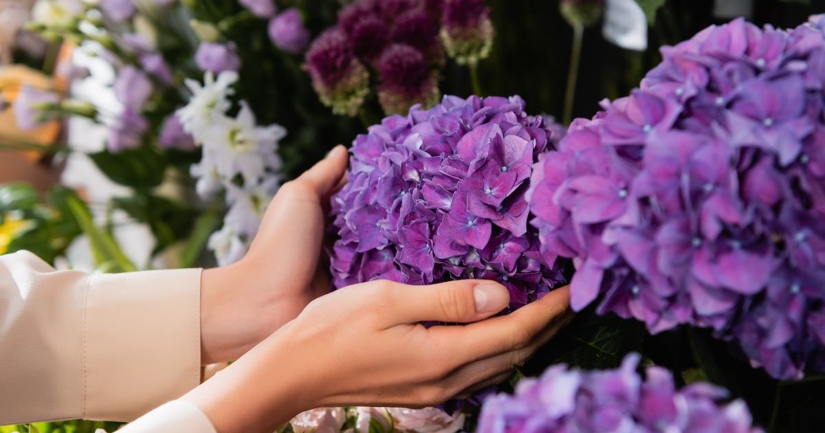 15 Stunning Perennial Flowers to Make Your Garden Beautiful All Year Round