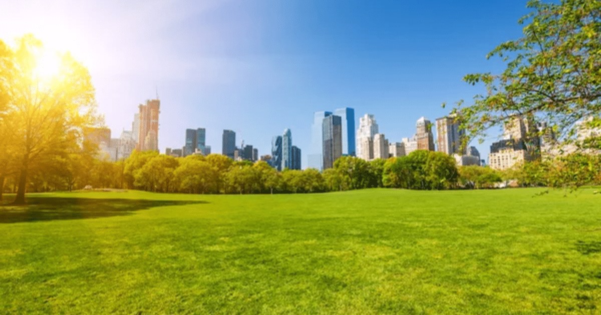 15 Ways to Protect Your Skin from Pollution and UV Damage