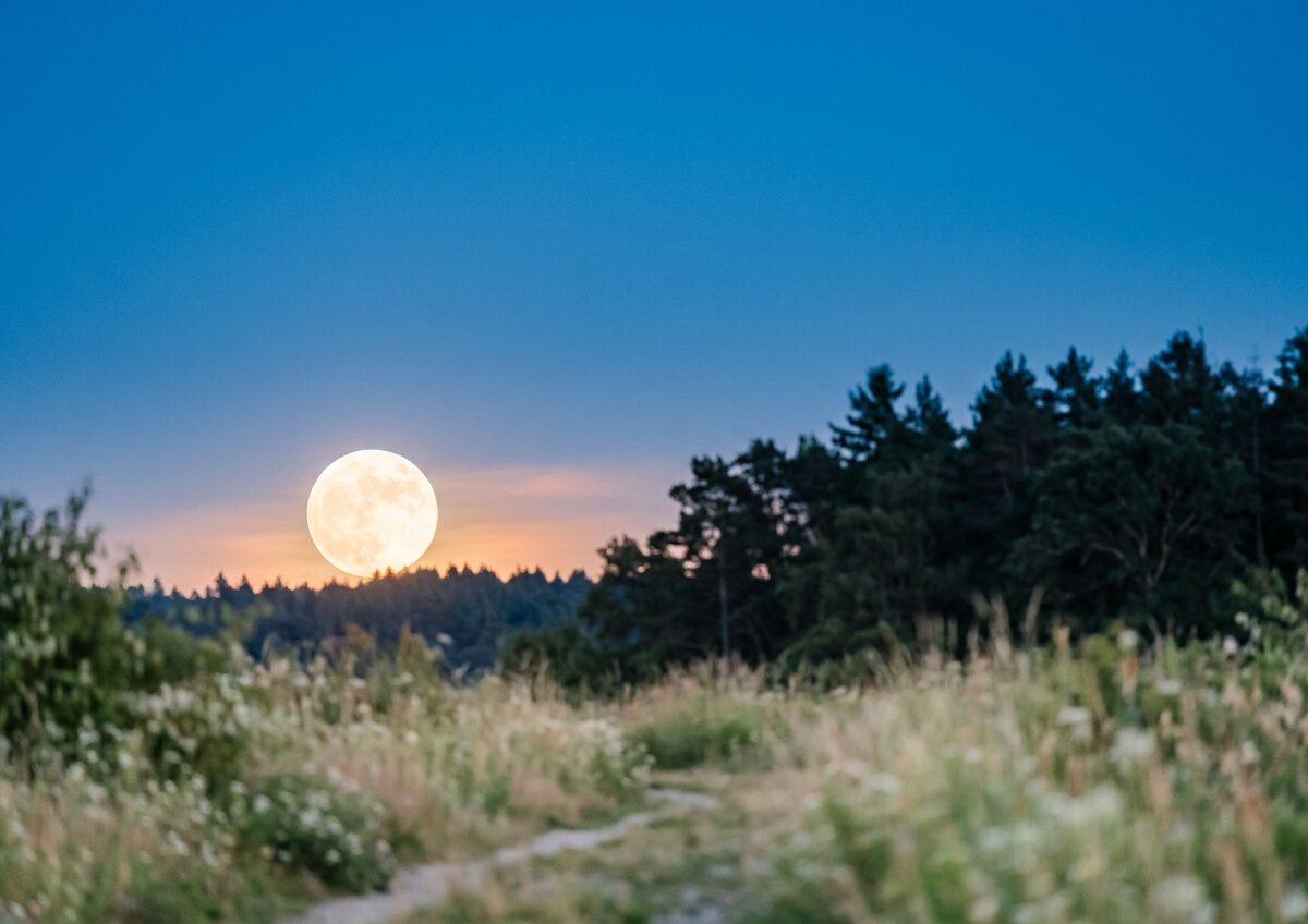 The strawberry moon is a supermoon this year — here's what that actually means