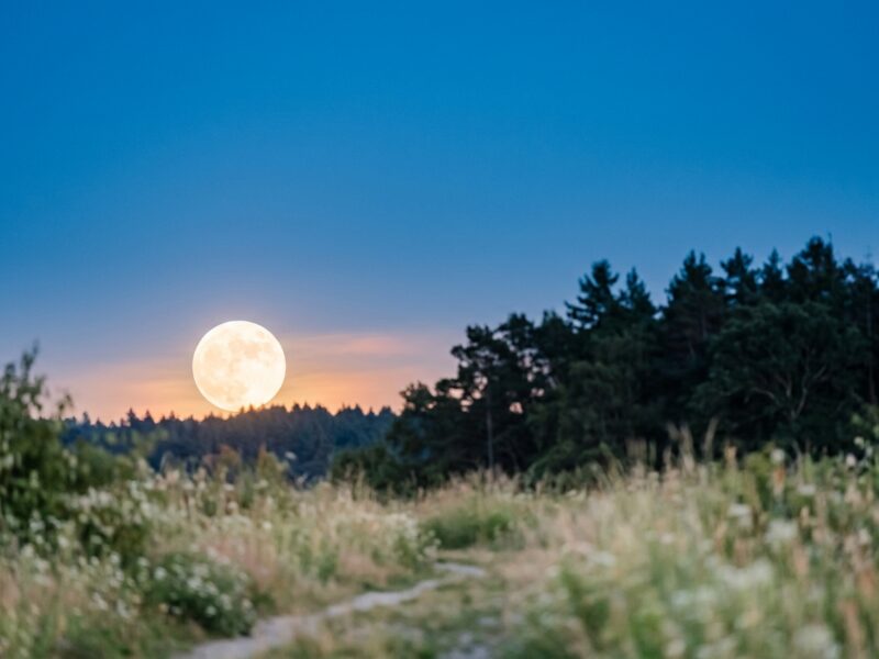 The strawberry moon is a supermoon this year — here’s what that actually means