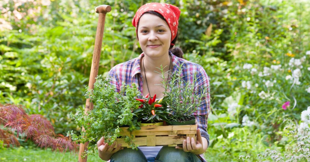 Grow These 15 Plants for Natural Cold & Flu Remedies: A Simple Path to Health and Happiness