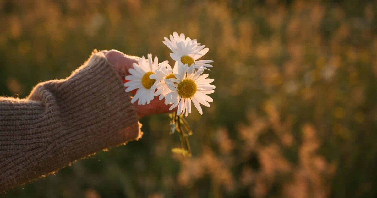 He Didn’t Love Me. He Loved Being Loved By Me.
