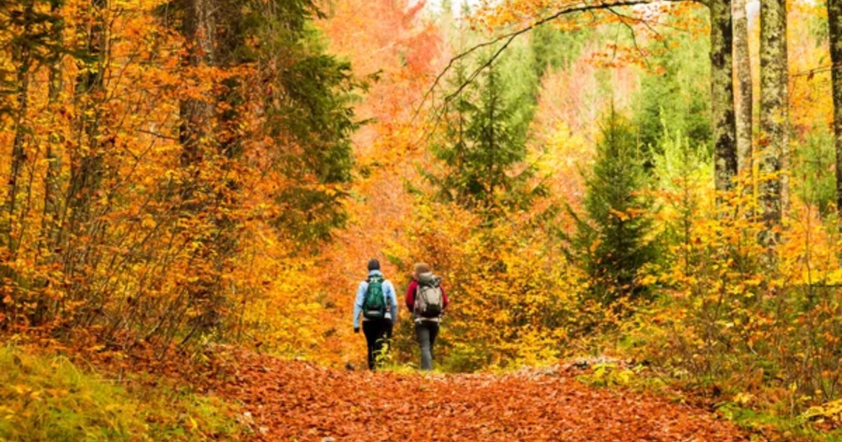 Seasonal Wardrobe Transitions: Tips for Women Who Love the Outdoors