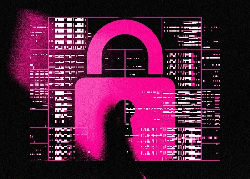 Temu Actually Reached Out to Me About Those Bank Hacking Claims—Here’s What They Said