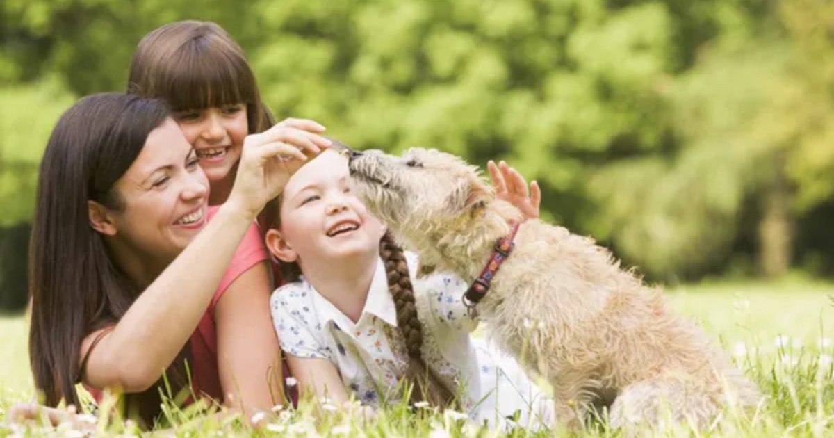 The Importance of Teaching Kids About Responsible Animal Care