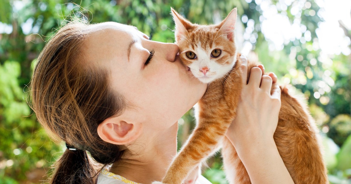 The Most Purr-fect Reasons To Own a Cat