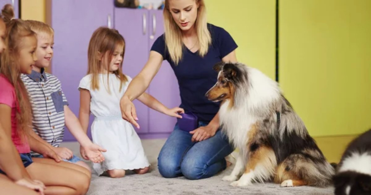 The Role of Animals in Supporting Learning for Kids with Special Needs